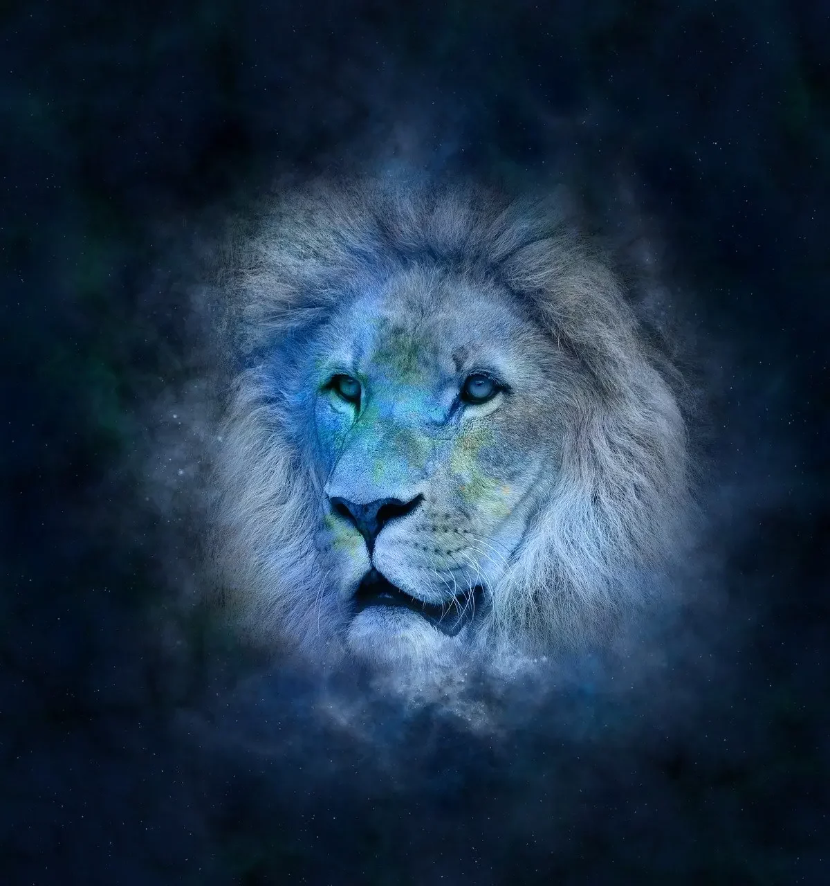Lion (23 Juillet - 22 Août)